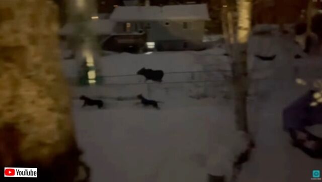 20231206_114942 (3)_batch