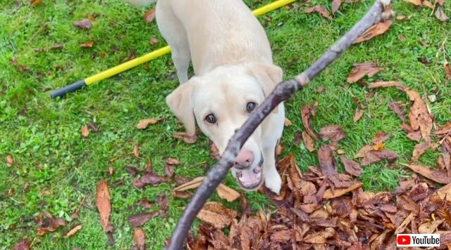 20221209_004719 (5)_batch