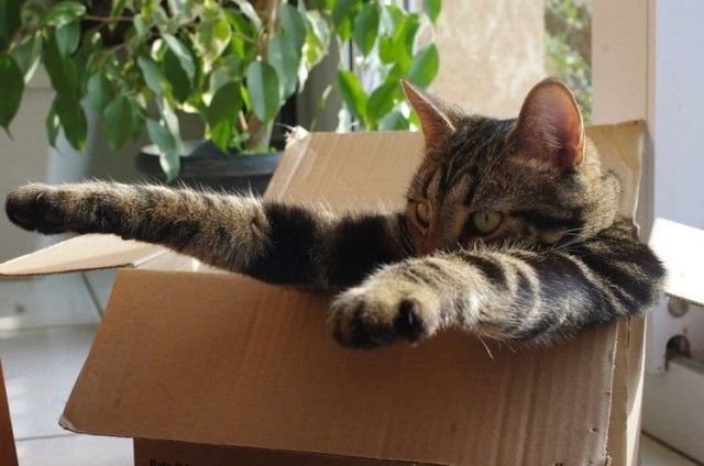 toobig4box3_e