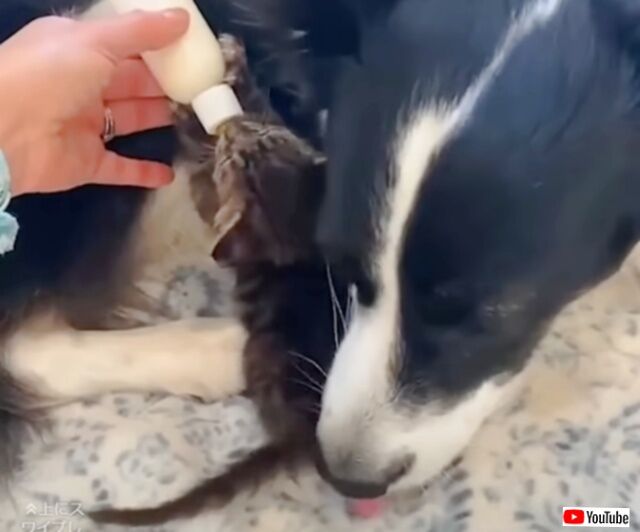 20230509_113927 (4)_batch