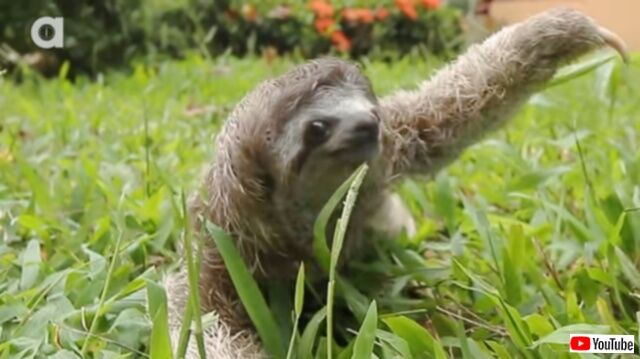 20230609_100827_batch