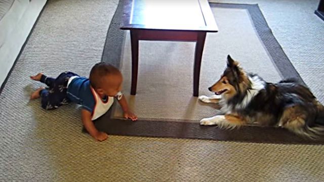 dognbaby2