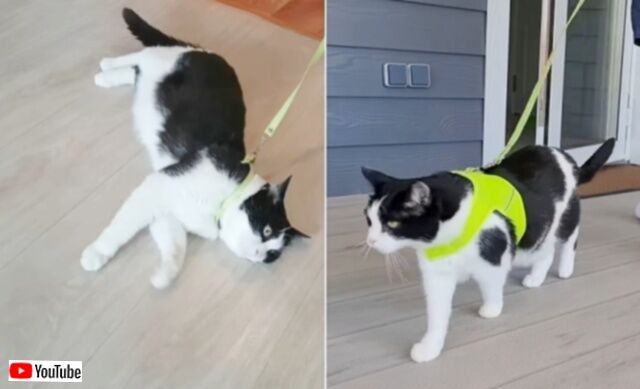 20230702_023341 (11)_batch