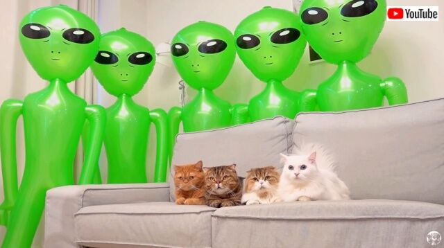 alien1_640