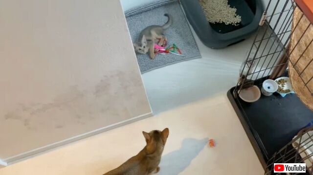 20230110_085507 (6)_batch