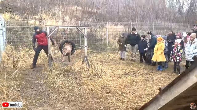 dogschoolmessi6_640