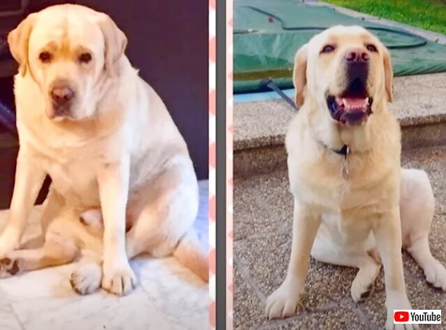 20220919_115038 (3)_batch