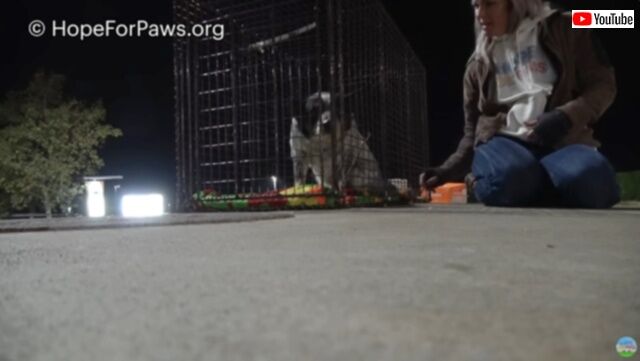 20240313_191213 (3)_batch