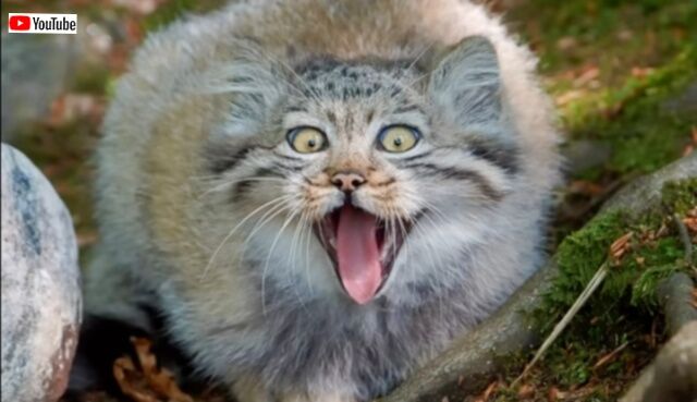 20230828_012411 (2)_batch