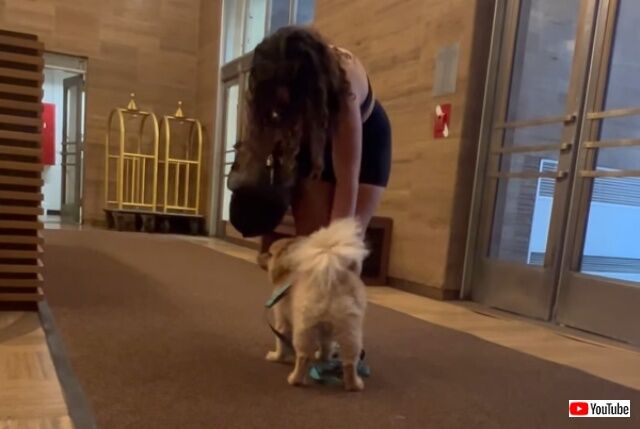 20220625_003009 (6)_batch