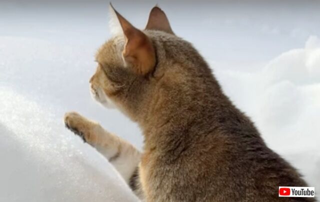 20231216_001256_batch