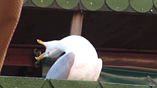 feelgood2