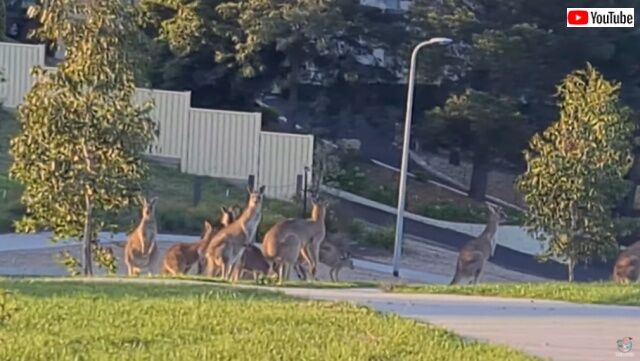 20220402_002950 (3)_batch