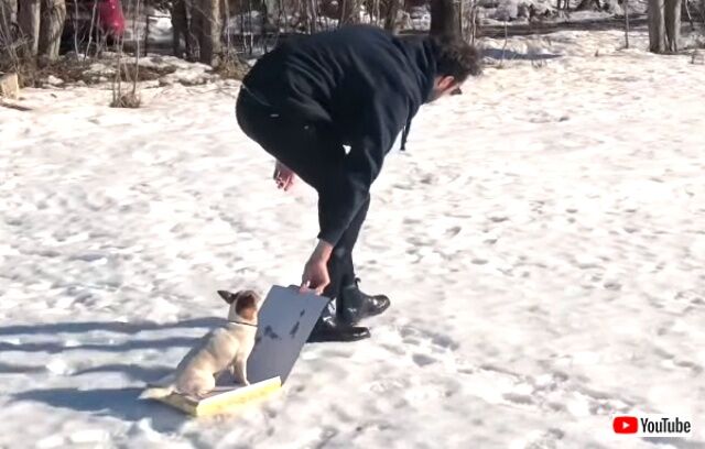sledding1_640