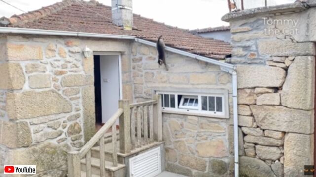 20230606_073801 (6)_batch