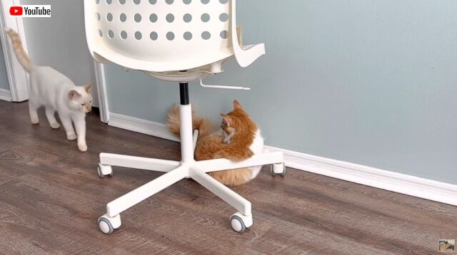 20221107_115900 (2)_batch