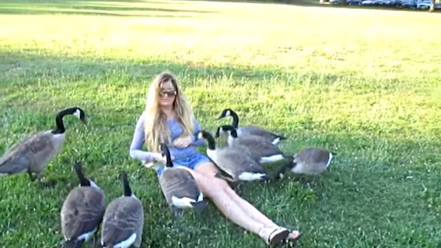 goslings6