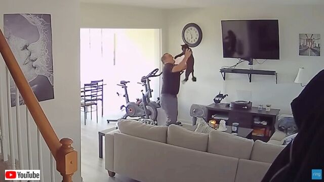 20220908_230326 (5)_batch
