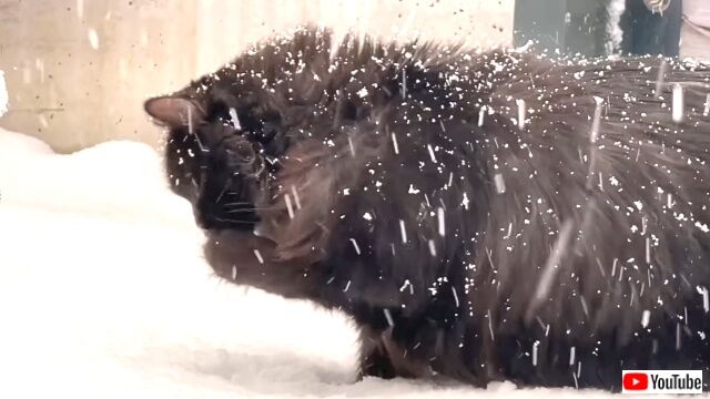 inthesnow5_640