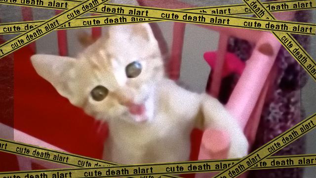 cat-1_e-frame