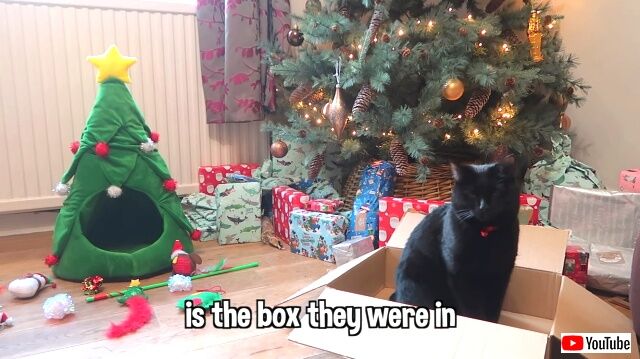 catswant4xmas1_640