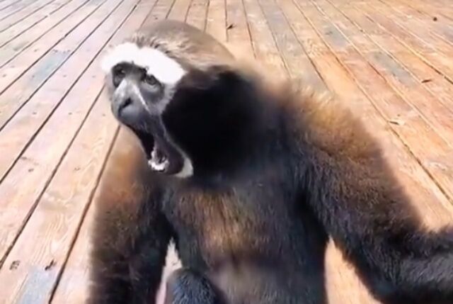 20220520_104021 (5)_batch