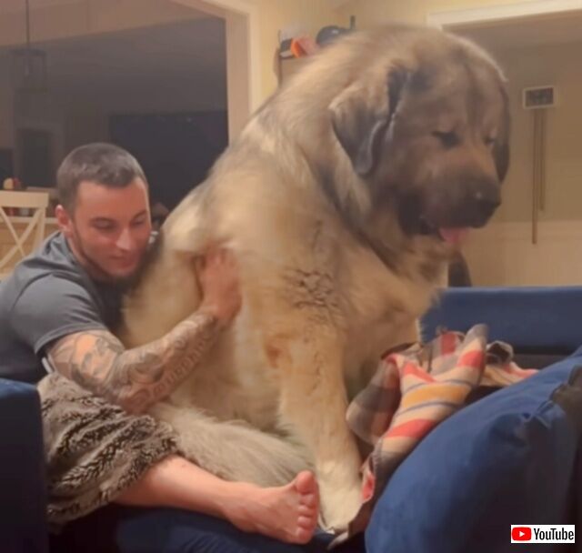 20240311_073829_batch