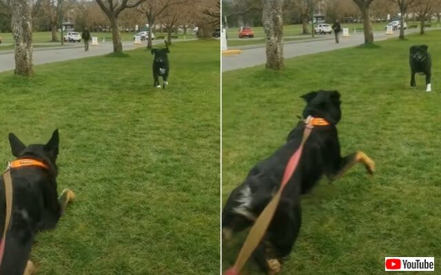 20220405_194419 (3)_batch