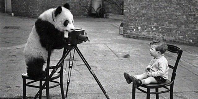 photographers10_e