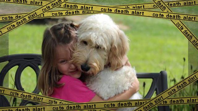 cute-dogs-hugging-humans-98 [www-frame