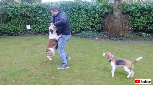 20230227_195229 (2)_batch