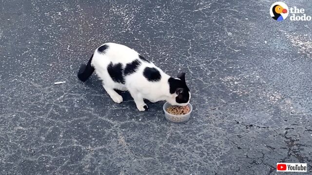 20230228_194454_batch