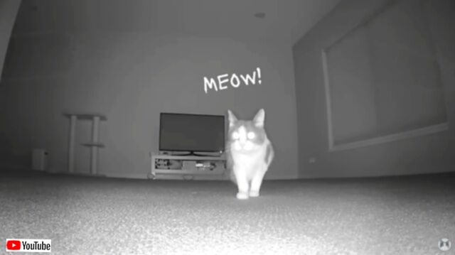 20230708_074906 (6)_batch