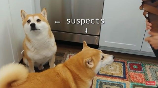 csi3_e
