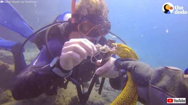 20221009_181508 (2)_batch