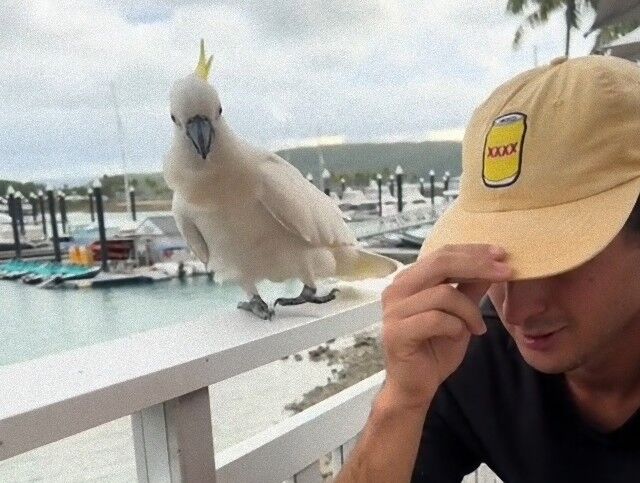 20240328_074638 (2)_e