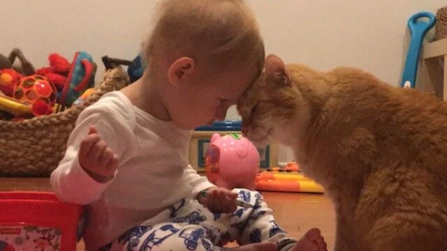 1歳半の息子と14歳の老猫が気持ちを共有させていたワンシーンに心がぽかぽか（海外の反応）