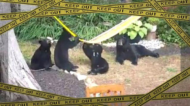 bearkids1-frame