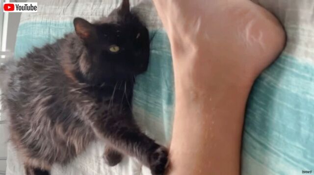 20220911_115838 (5)_batch