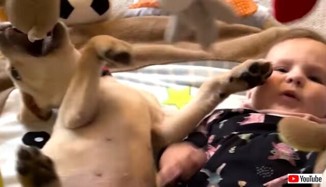 puppynbaby0_640