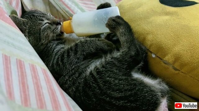 bottle4_640
