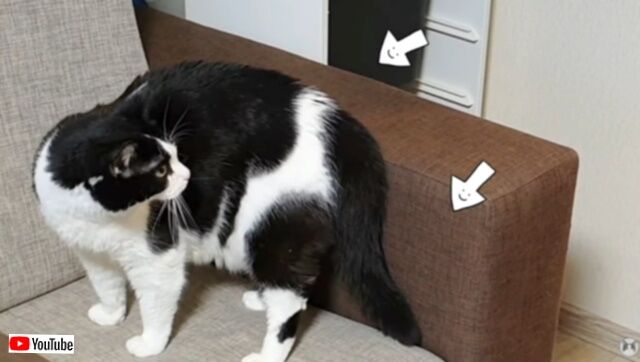 20231122_014854 (2)_batch