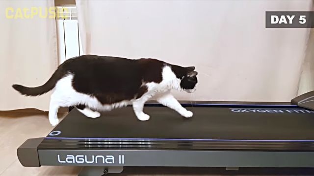 training8