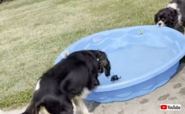 20230814_023246 (2)_batch