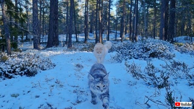 20230207_024548 (2)_batch