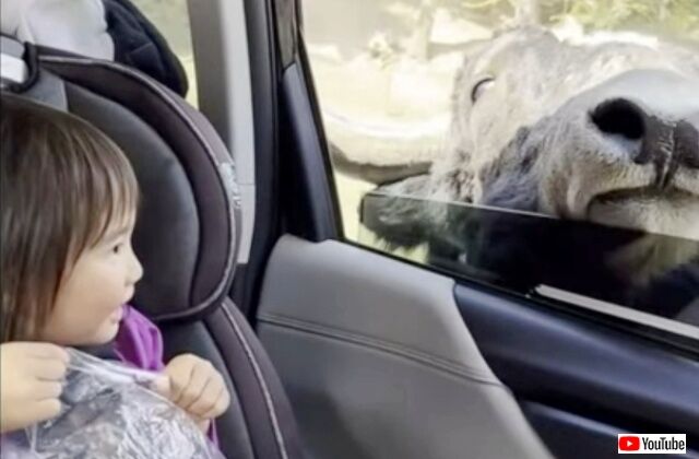 20220917_114340 (4)_batch