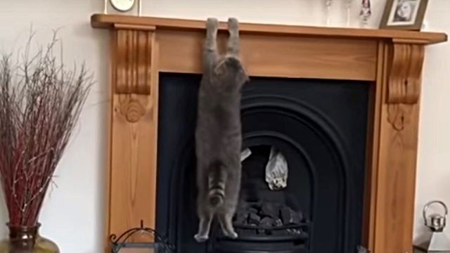 cantclimb0