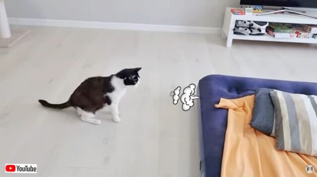 20230318_111856_batch