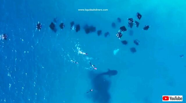 maldives5_640