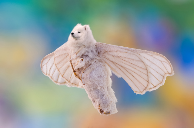 u0jh05xl43981_e